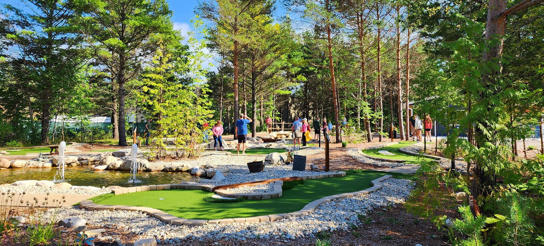 Majestic pine trees and water fountains in a pond delight players on the Evergreen Mini Golf Course